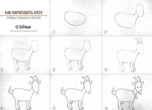 Как нарисовать козу просто