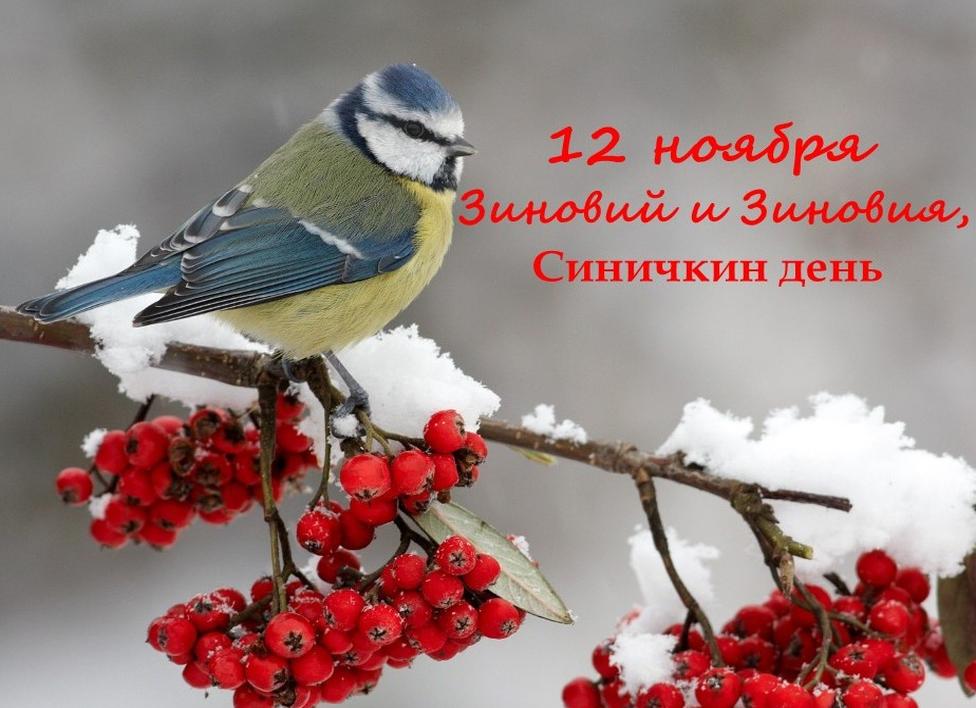 Синичкин день