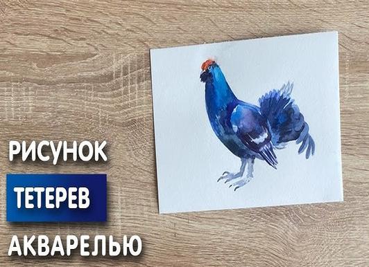Как нарисовать голубя своими руками: поэтапные уроки для начинающих. учимся рисовать красками, карандашом