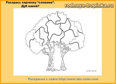 Деревья: картинки, сказки, развивающие задания для детей дошкольного возраста