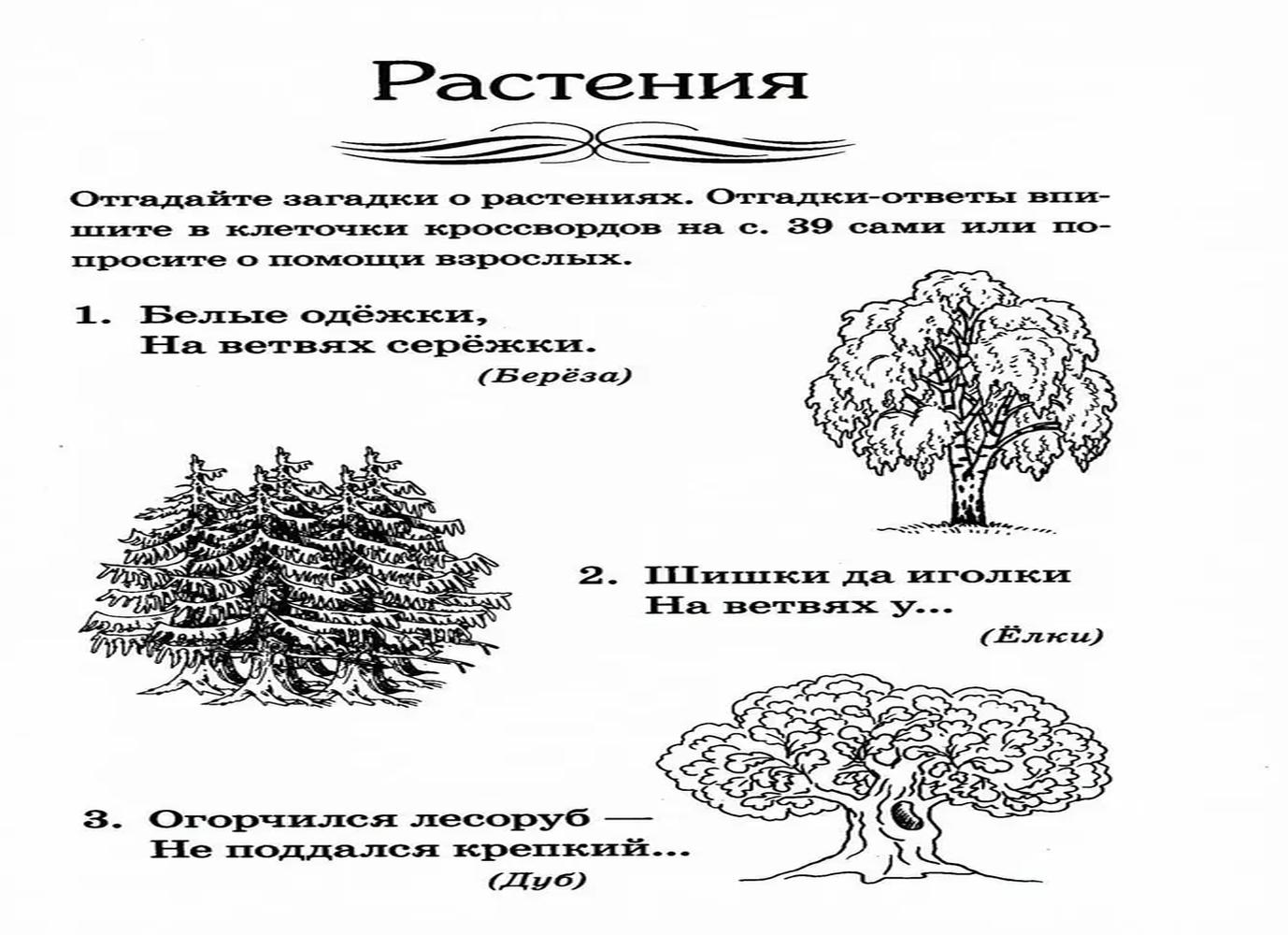 Загадки про рисование с ответами