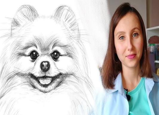 Нарисовать породу собак шпиц поэтапно