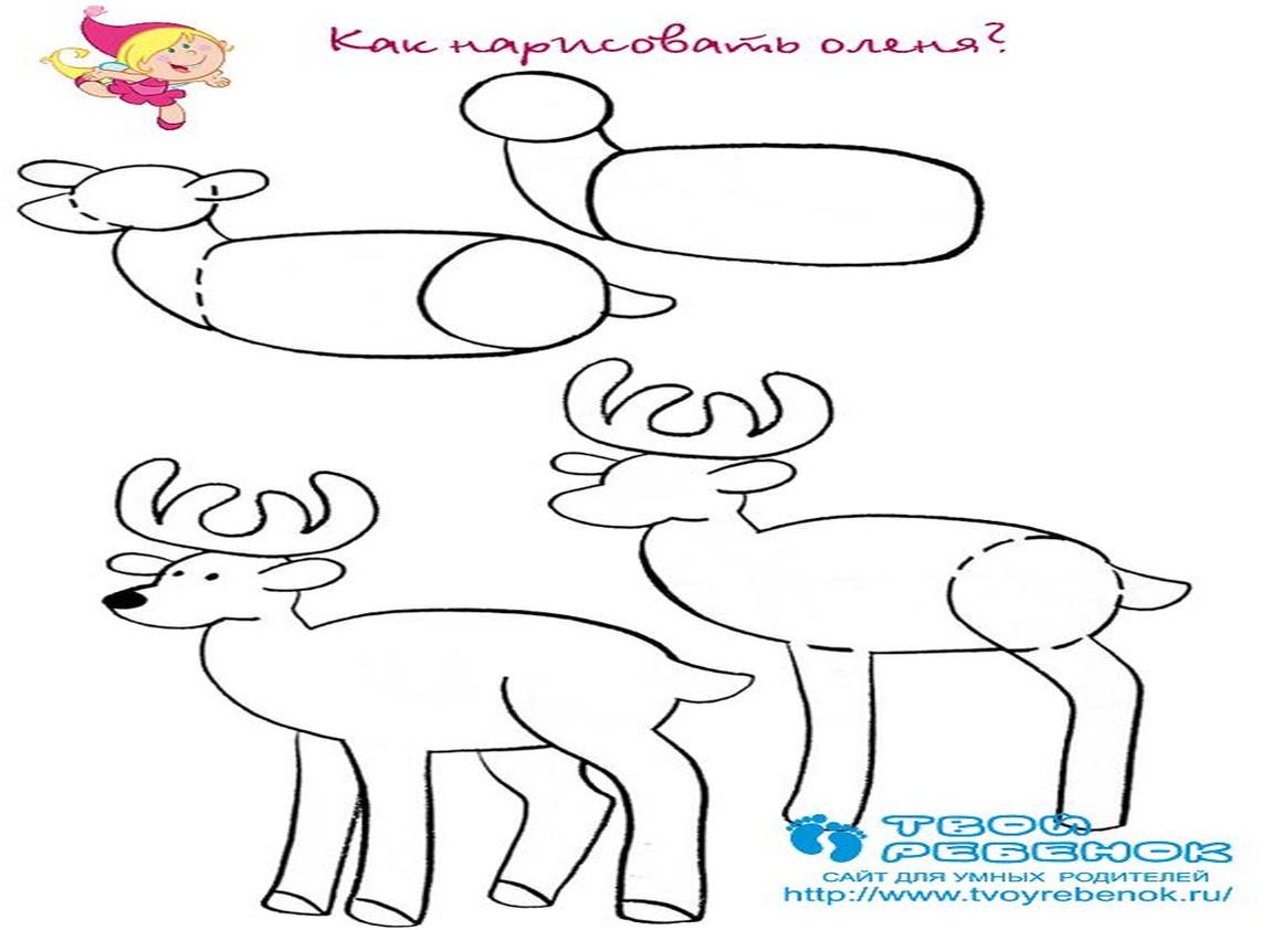 Как нарисовать оленя поэтапно карандашом
