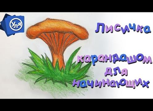 Как нарисовать гриб: реалистичные поэтапные рисунки съедобных и несъедобных грибов