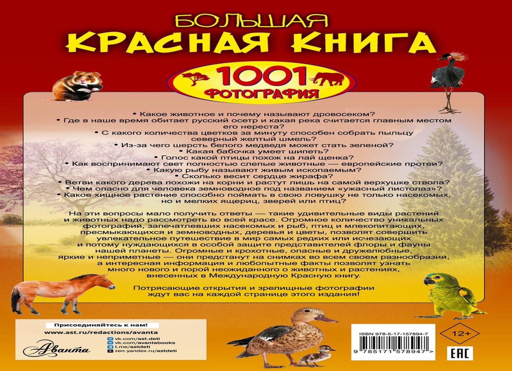 17 редких животных нашей планеты