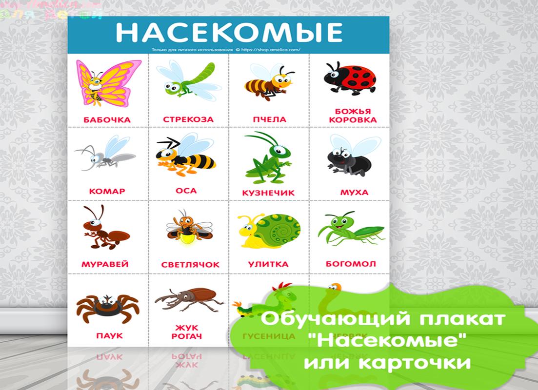 Картинки насекомых для детей, детские развивающие карточки с насекомыми для дома и детского сада