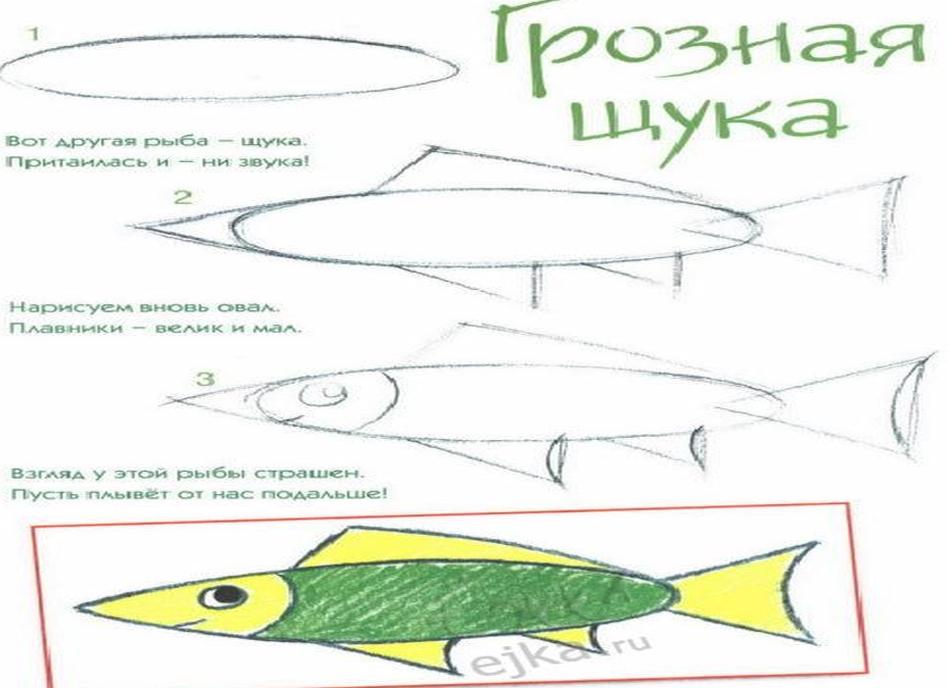 Поэтапное рисование щуки для детей