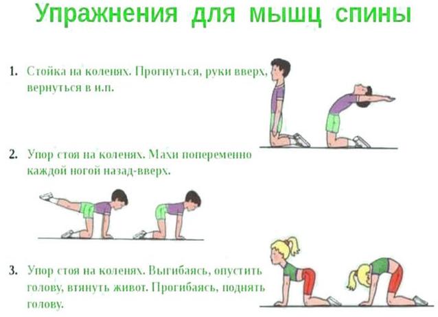 15 лучших упражнений для ребенка-школьника дома
