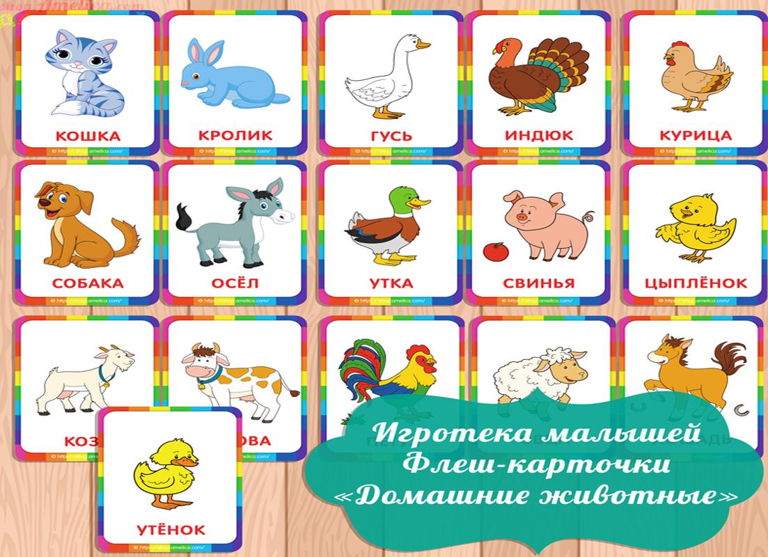 Домашние животные картинки для детей, развивающие карточки с животными скачать и распечатать