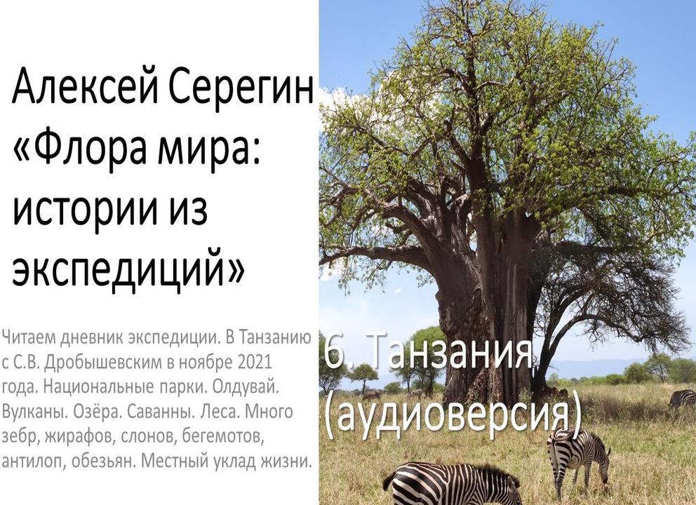 Природа и заповедники хмао (ханты-мансийского автономного округа): описание и интересные факты