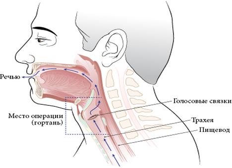 Рисование перед зеркалом. как нарисовать зеркало карандашом поэтапно