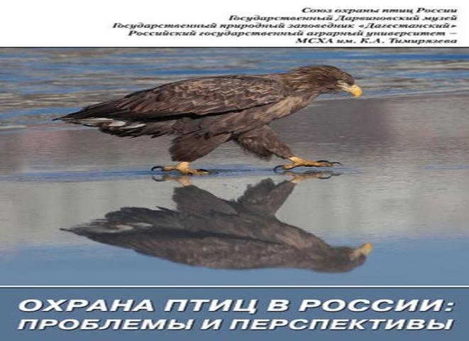 Рисунок аист и рядом буква а раскраска. нарисуем аиста и раскраску аист. как нарисовать аиста. нанесение теней