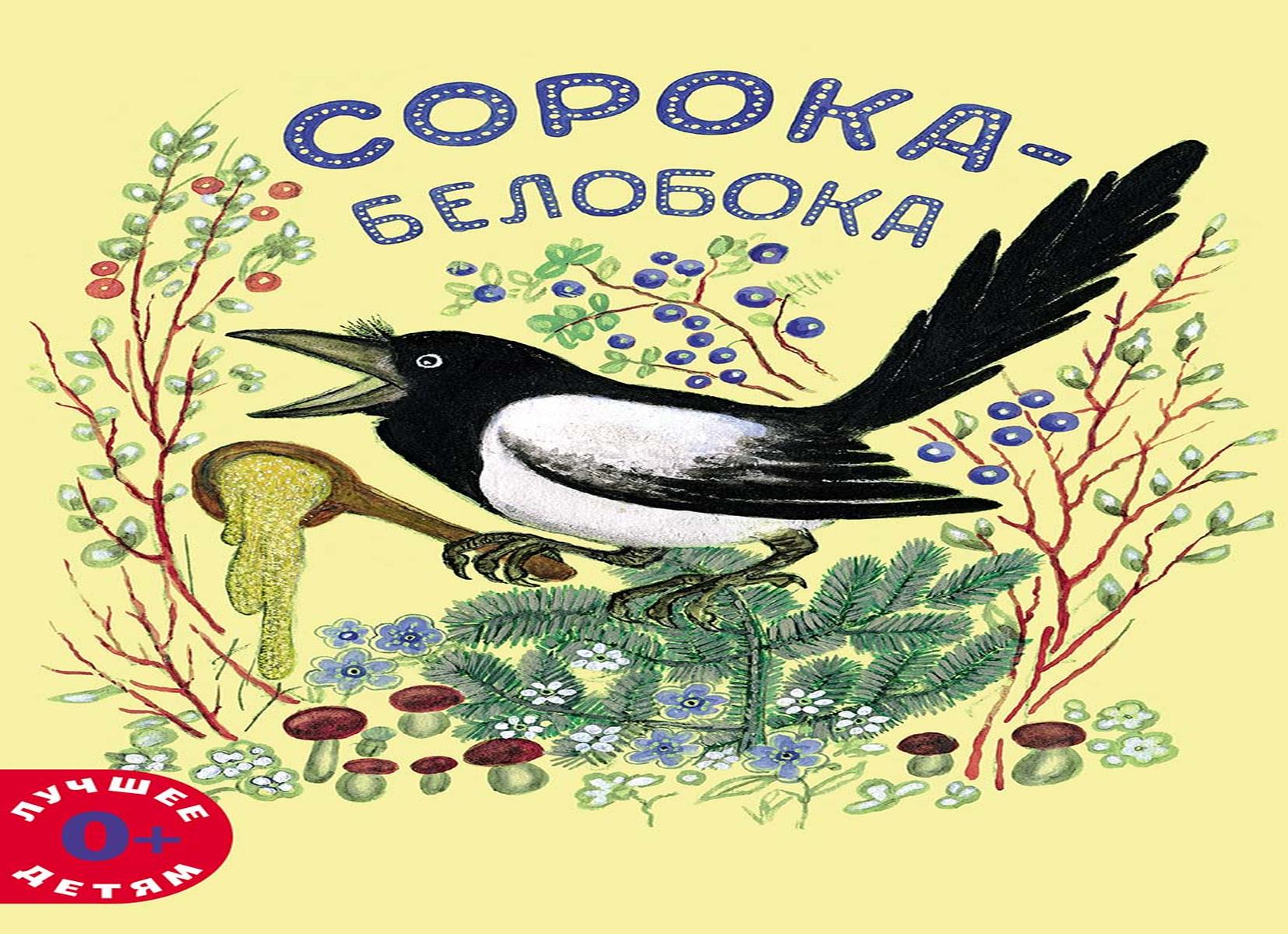 Сорока-белобока