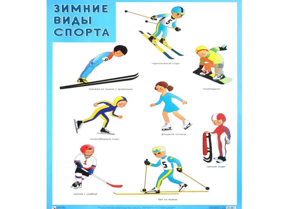Зимние и летние виды спорта (картинки для детей)