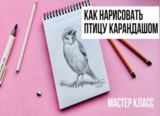 Как нарисовать телефон карандашом: 7 поэтапных мастер-классов для начинающих