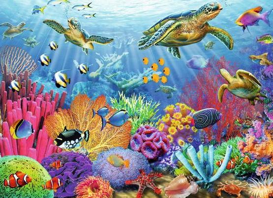 Картинки для детей водный мир