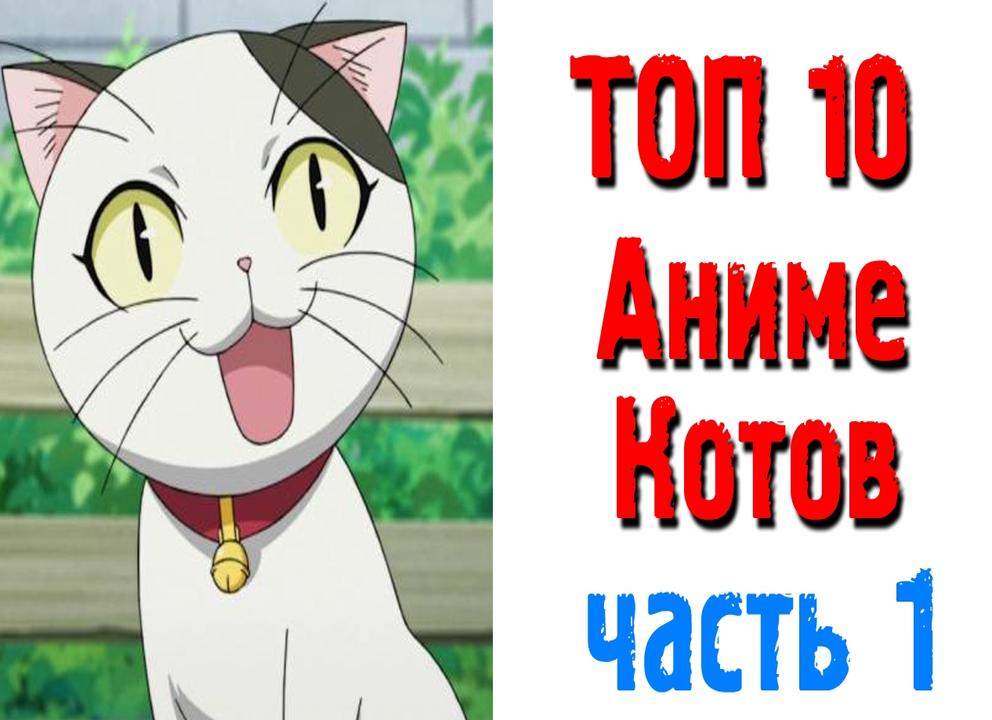 Топ-10 котов из аниме