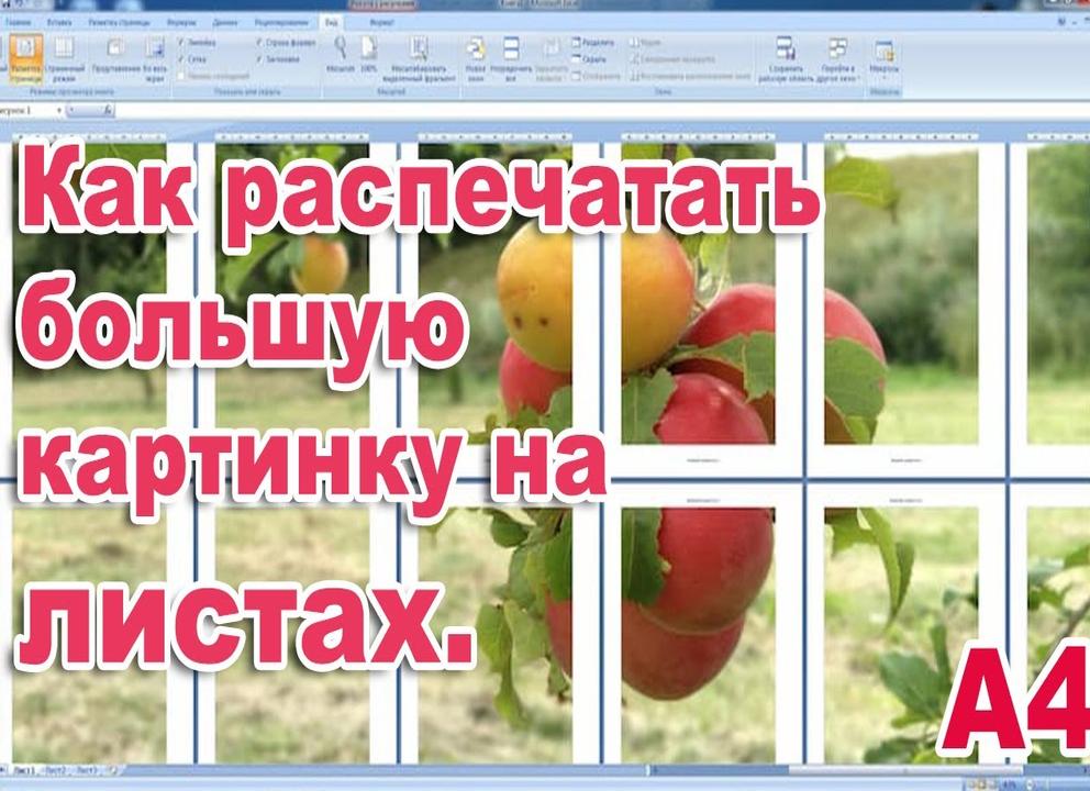 Как распечатать фото на нескольких листах a4