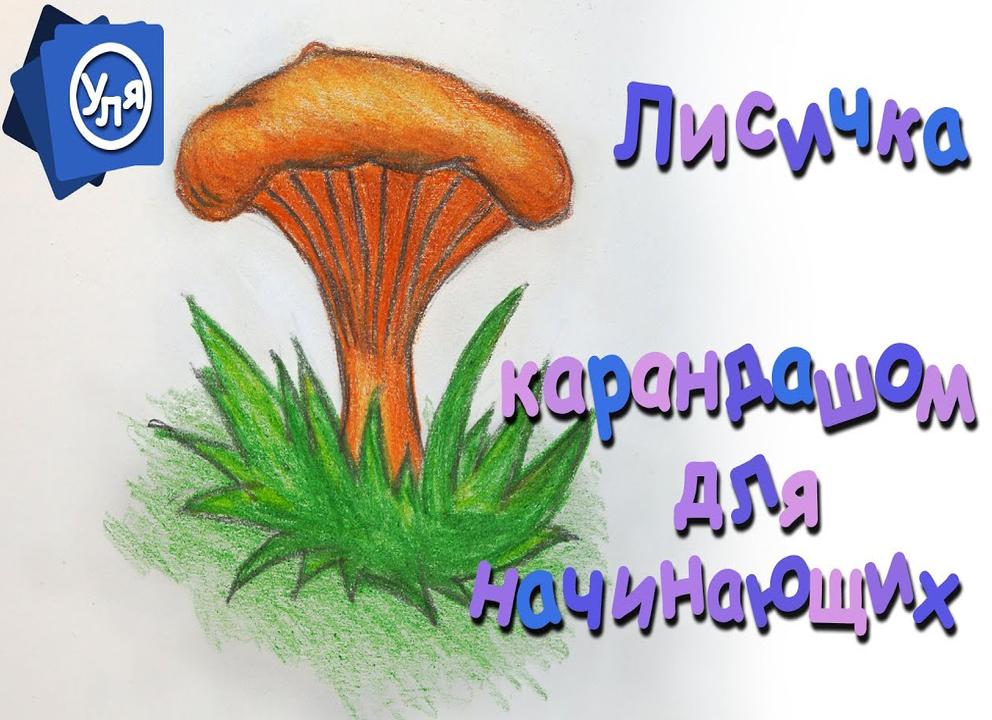 Как нарисовать гриб: рисунки съедобных и несъедобных грибов поэтапно карандашом