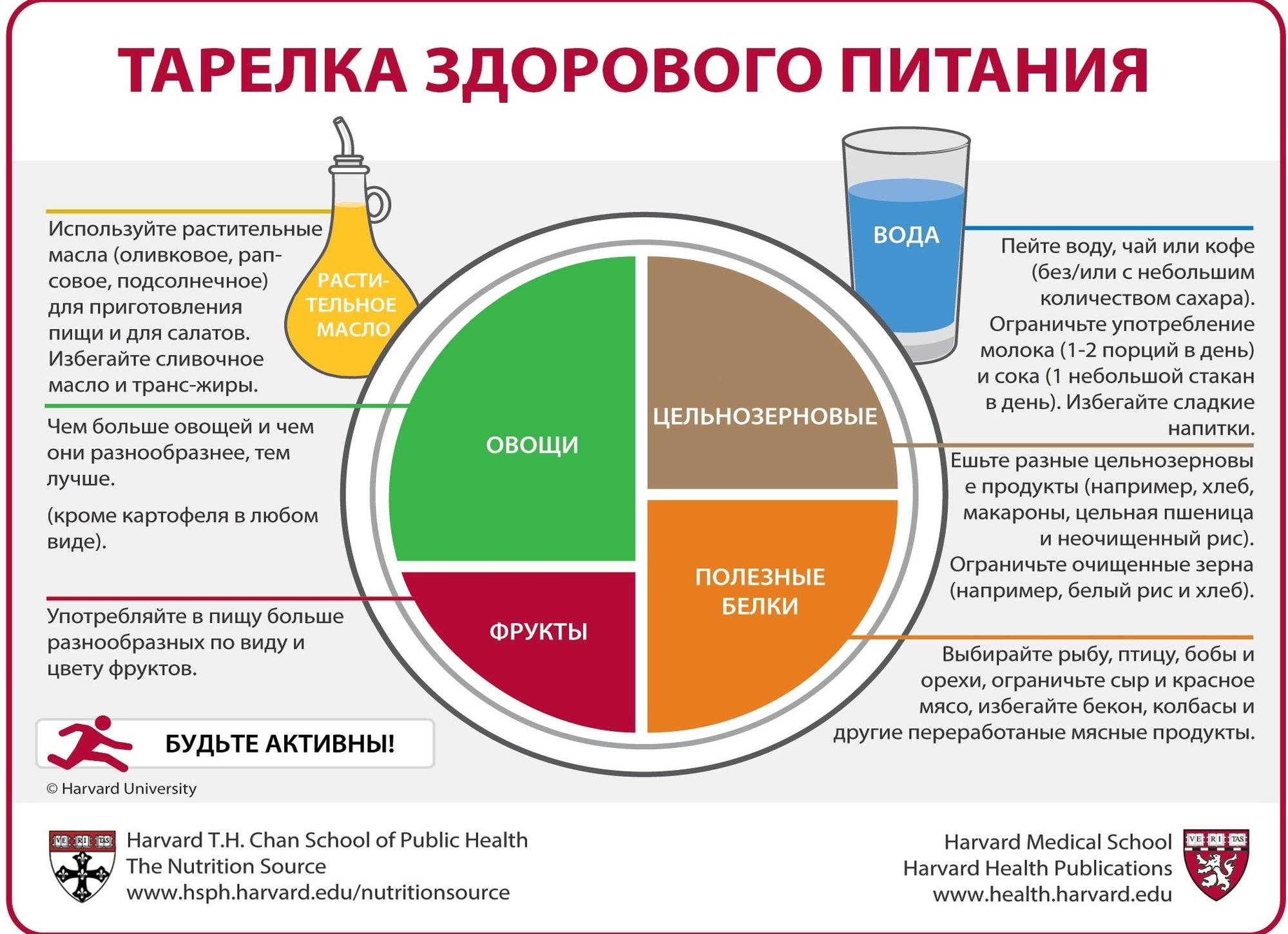 Как нарисовать воробья: 3 способа для детей