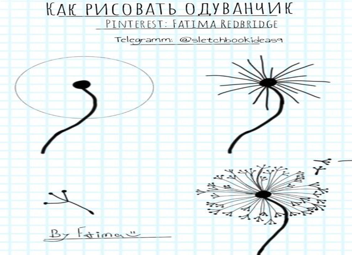 Как нарисовать одуванчик