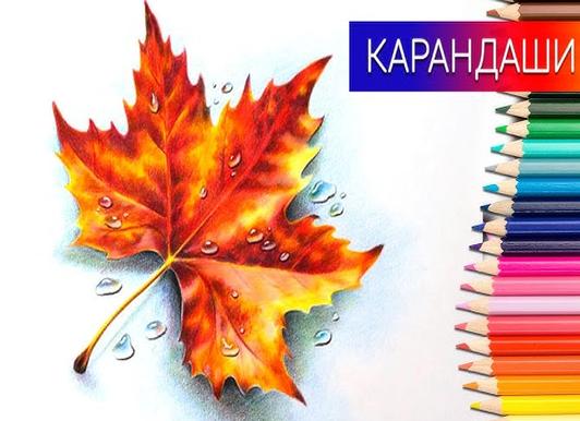 Как нарисовать кленовый лист цветными карандашами поэтапно