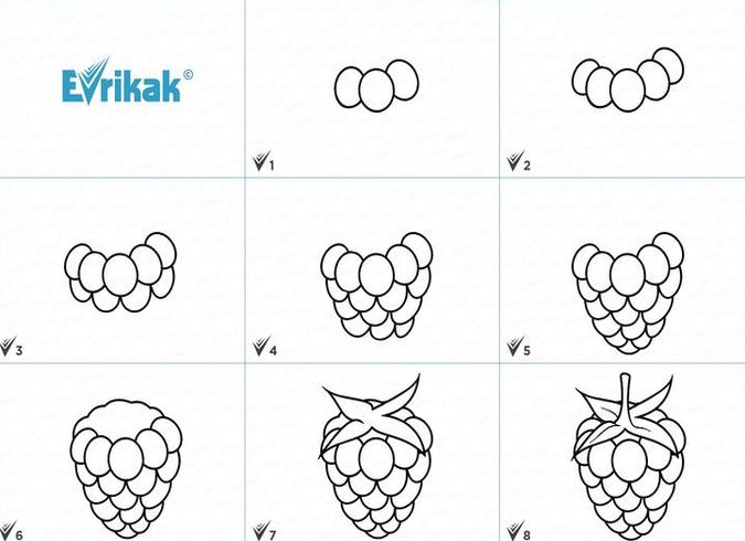 Как нарисовать малину карандашами или гуашью поэтапно