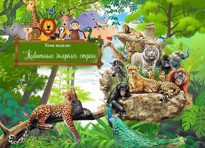 Презентация на тему «животные жарких стран»